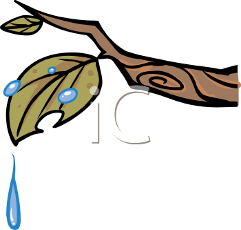 fall%20tree%20branch%20clipart