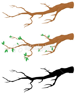 fall%20tree%20branch%20clipart