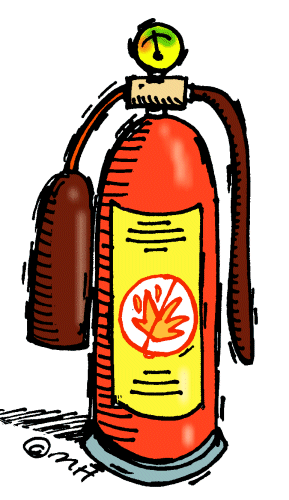 Fire Clip Art