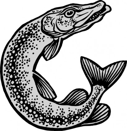 fishing clipart