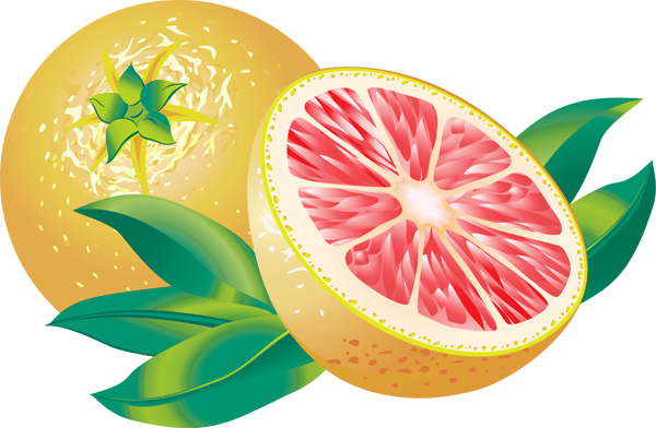 fruit clipart