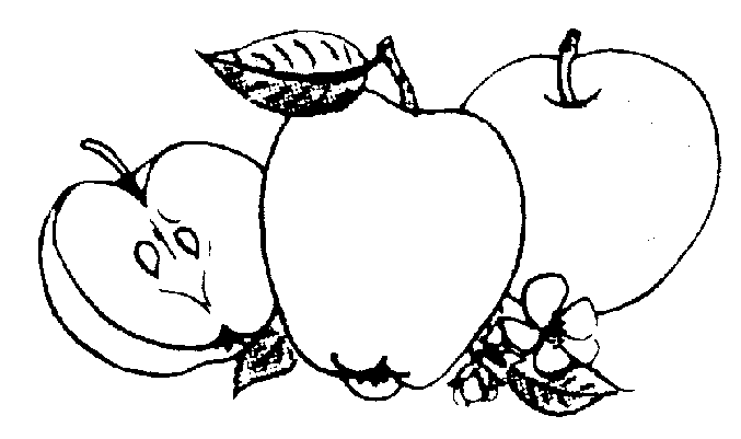 fruit clipart