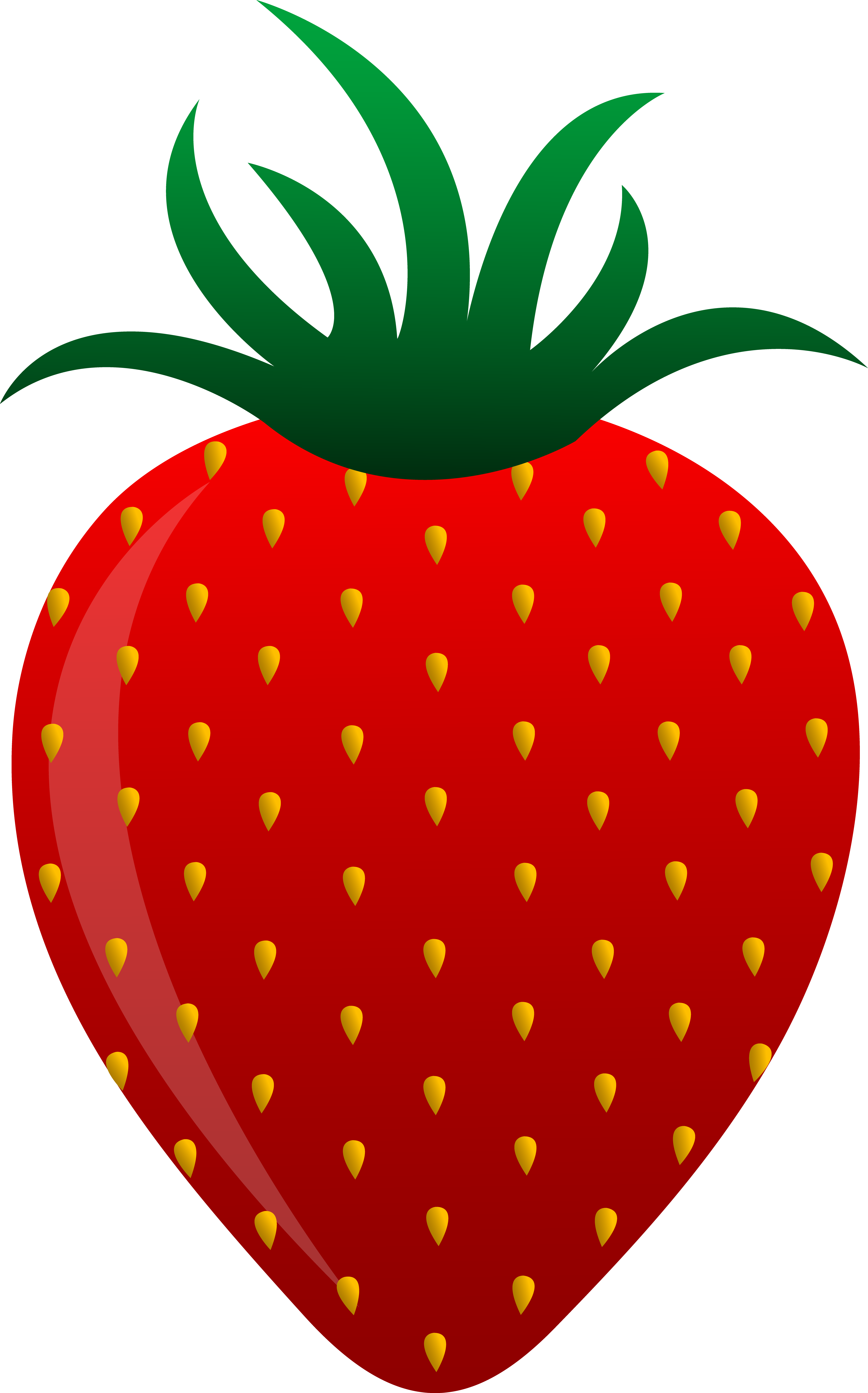 fruit clipart