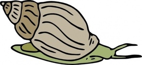 gary%20the%20snail%20clipart