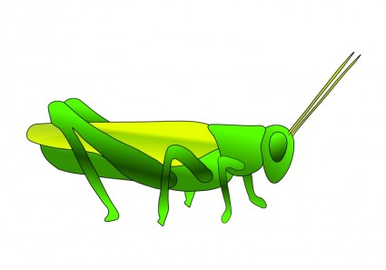 grasshopper%20outline