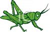 green%20grasshopper