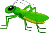 green%20grasshopper