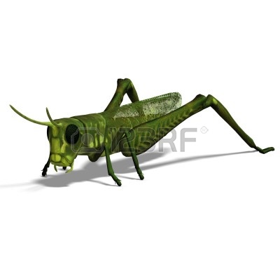 green%20grasshopper