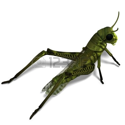 green%20grasshopper