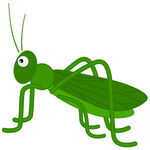 green%20grasshopper