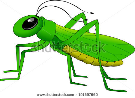 green%20grasshopper