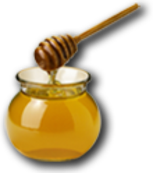 Honey Clip Art