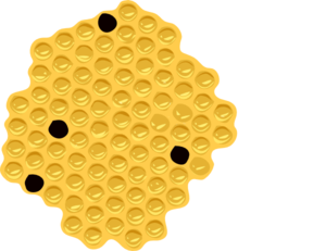 Honey Clip Art