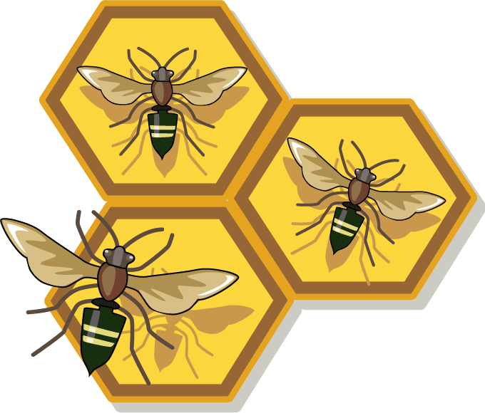 honey%20clipart