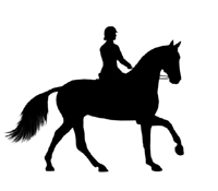 horse%20riding%20clipart