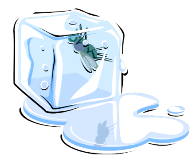 ice%20clipart