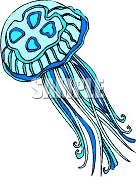 Jellyfish Clipart