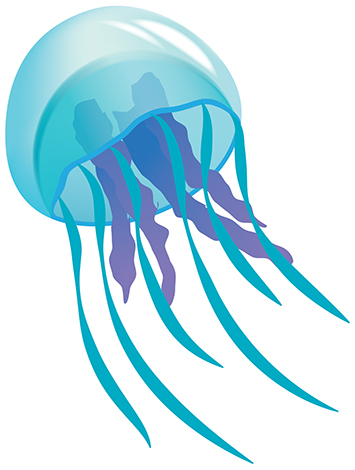 jellyfish%20clipart%20