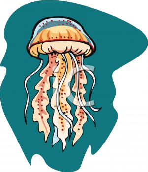 jellyfish%20clipart%20