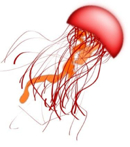 jellyfish%20clipart%20