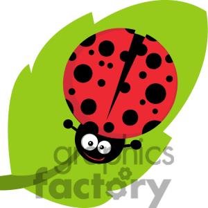 ladybug%20on%20flower