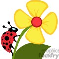 ladybug%20on%20flower