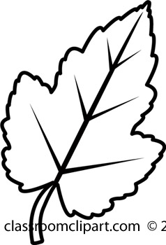 leaf%20clipart%20black%20and%20white