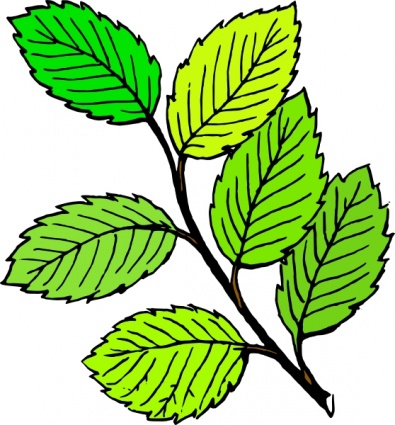 Leaves Clip Art