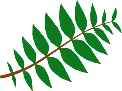 Leaves Clip Art