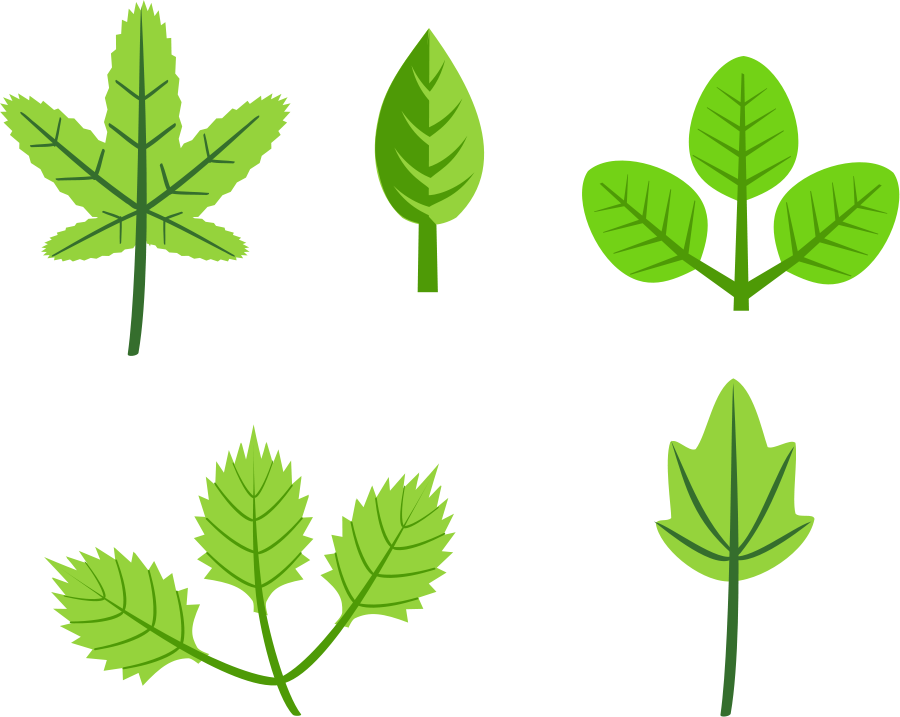 Leaves Clip Art