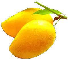 mango%20clipart