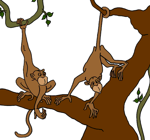 Monkey Clip Art