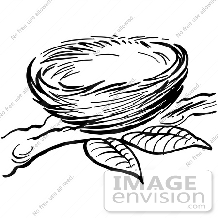 Nest Clip Art