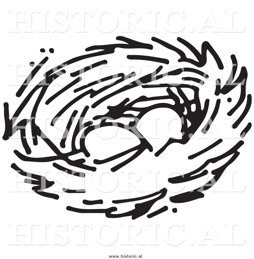 Nest Clip Art