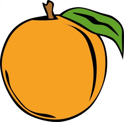 Orange Clip Art