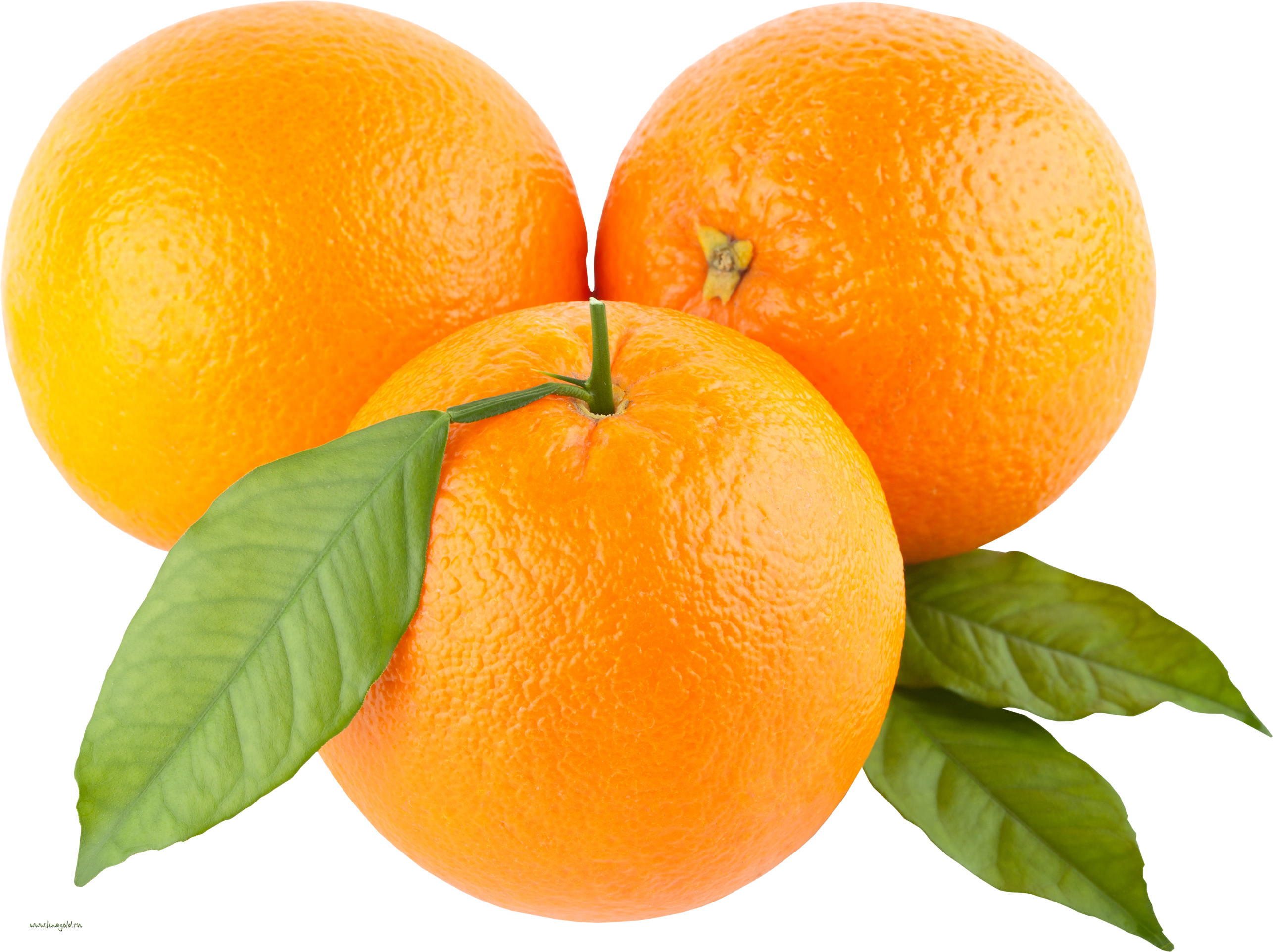 orange%20clipart