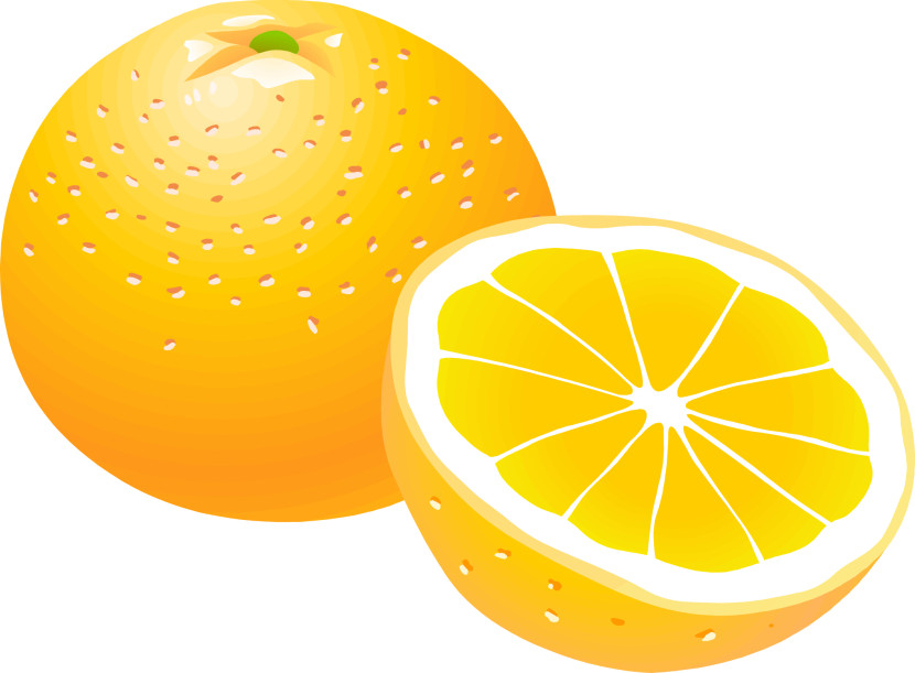 orange%20clipart