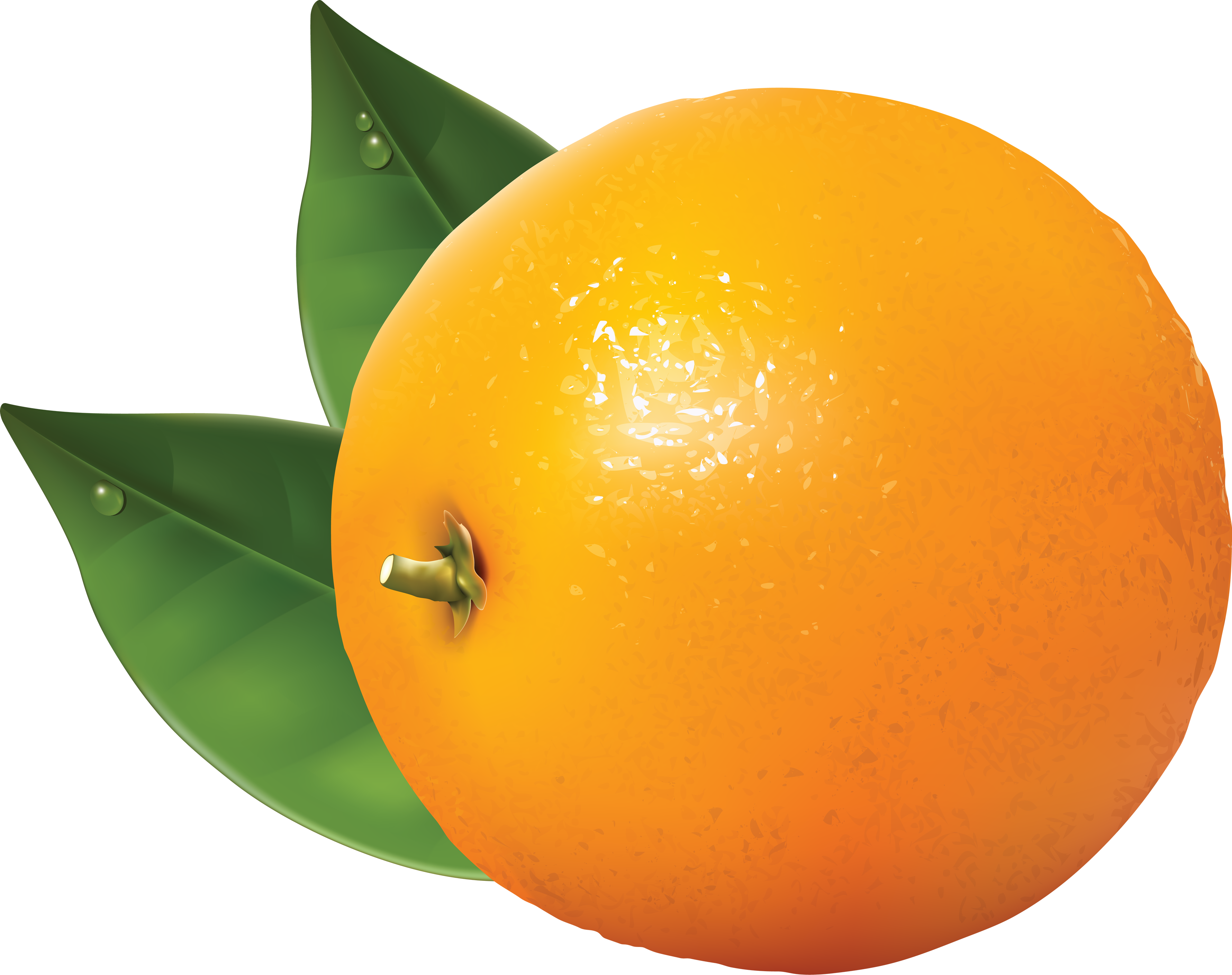 orange%20clipart