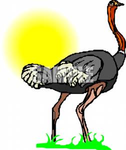 Ostrich Clipart