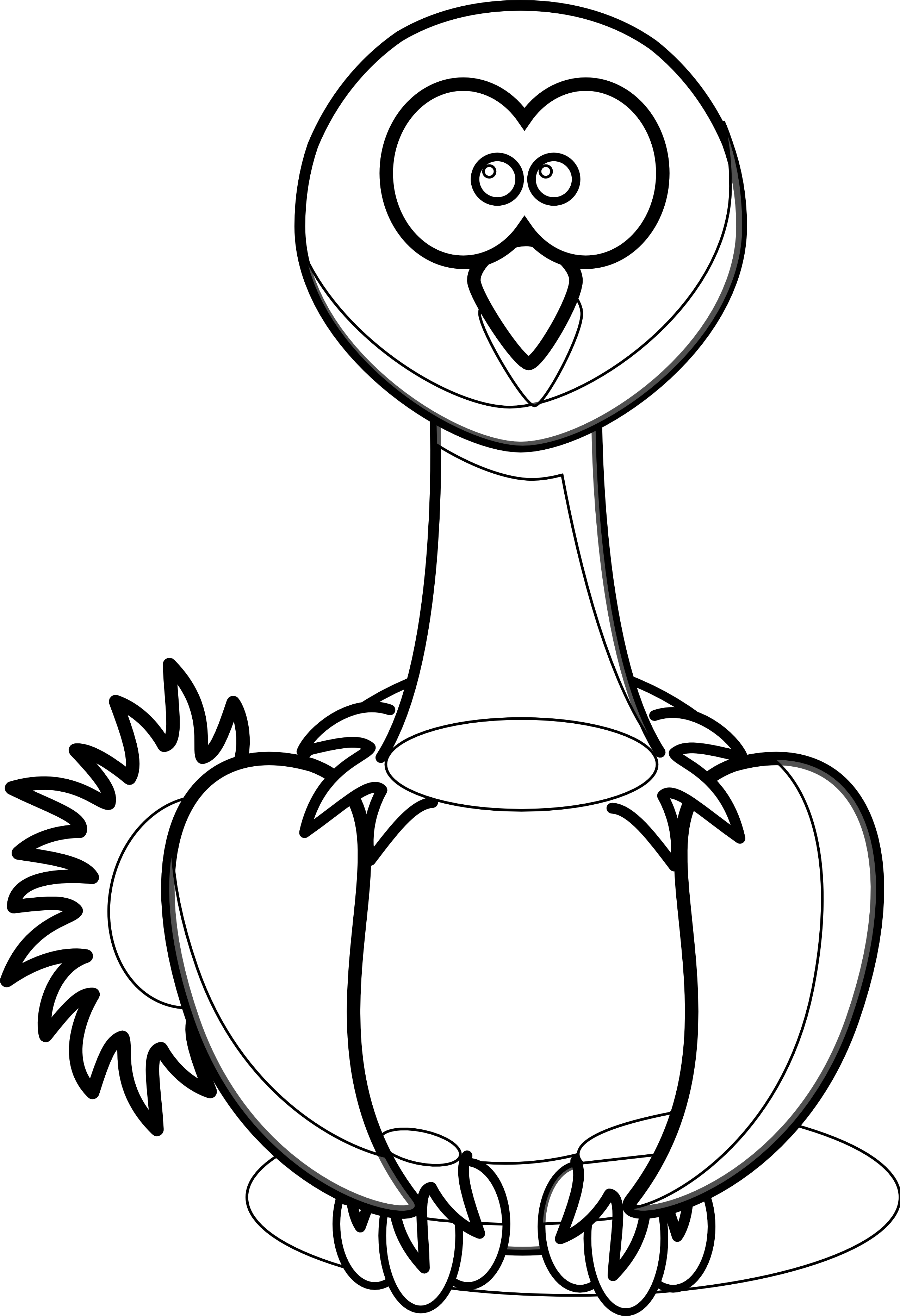 Ostrich Clipart