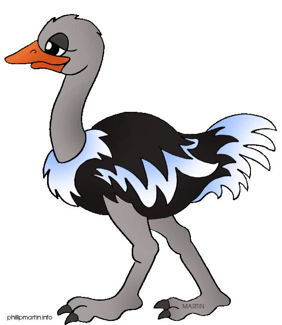 Ostrich Clipart