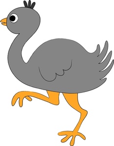 Ostrich Clipart