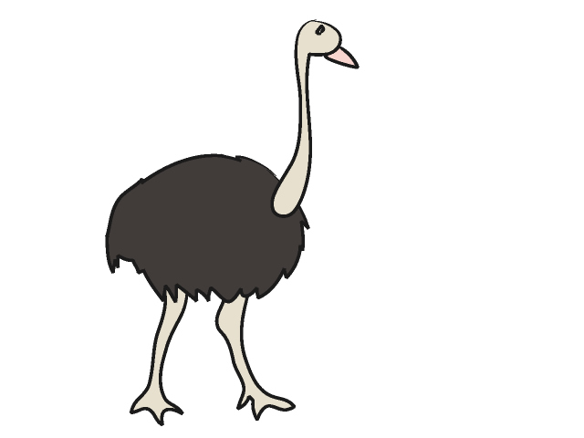 Ostrich Clipart