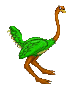 Ostrich Clipart