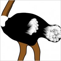 Ostrich Clipart