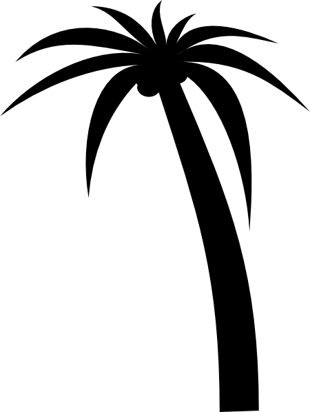 palm%20tree%20no%20background