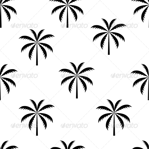 palm%20tree%20no%20background