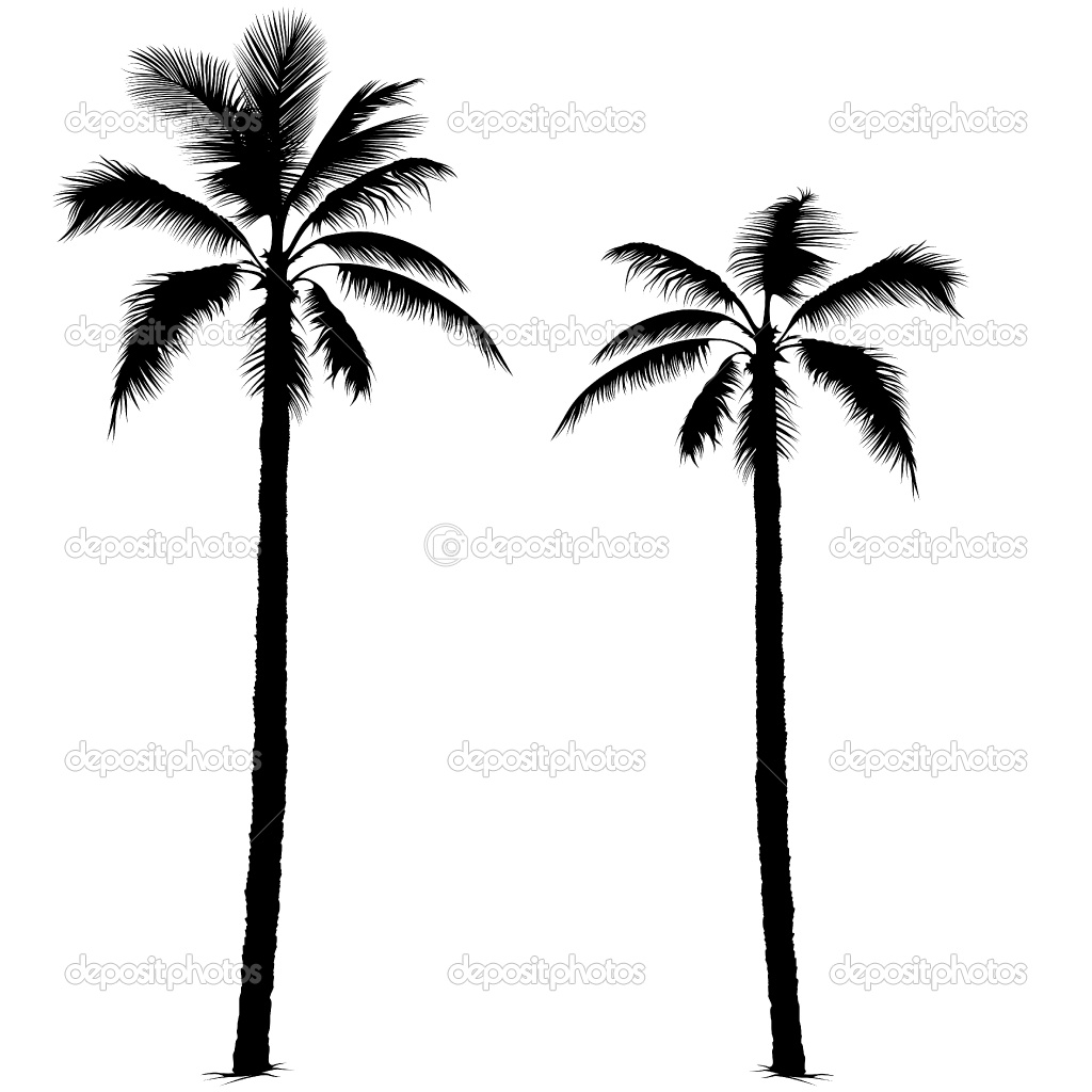 palm%20tree%20silhouette