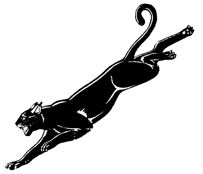 Panther Clip Art