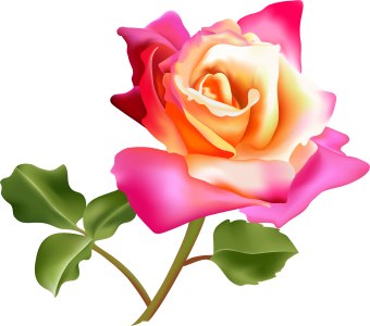 Pink Rose Clip Art